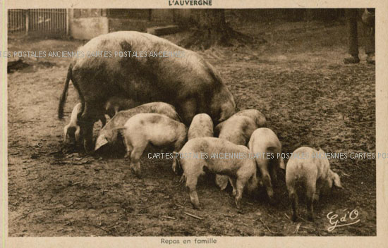 Cartes postales anciennes > CARTES POSTALES > carte postale ancienne > cartes-postales-ancienne.com Animaux