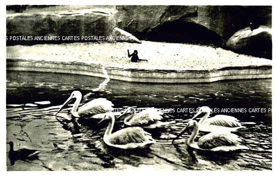 Cartes postales anciennes > CARTES POSTALES > carte postale ancienne > cartes-postales-ancienne.com Ile de france Paris Paris 1er