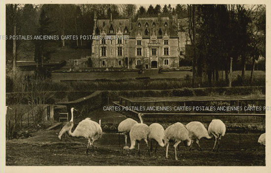 Cartes postales anciennes > CARTES POSTALES > carte postale ancienne > cartes-postales-ancienne.com Animaux Cleres