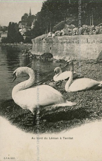 Cartes postales anciennes > CARTES POSTALES > carte postale ancienne > cartes-postales-ancienne.com Animaux