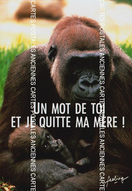 Cartes postales anciennes > CARTES POSTALES > carte postale ancienne > cartes-postales-ancienne.com Animaux