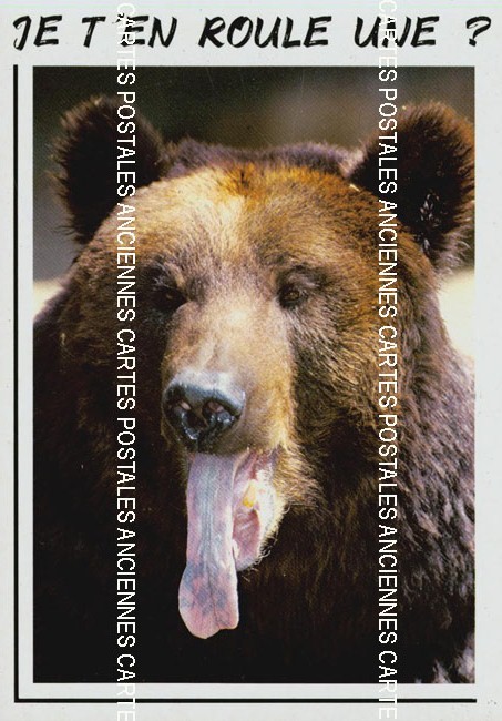 Cartes postales anciennes > CARTES POSTALES > carte postale ancienne > cartes-postales-ancienne.com Animaux