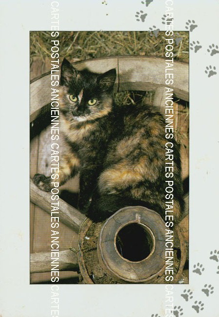 Cartes postales anciennes > CARTES POSTALES > carte postale ancienne > cartes-postales-ancienne.com Animaux