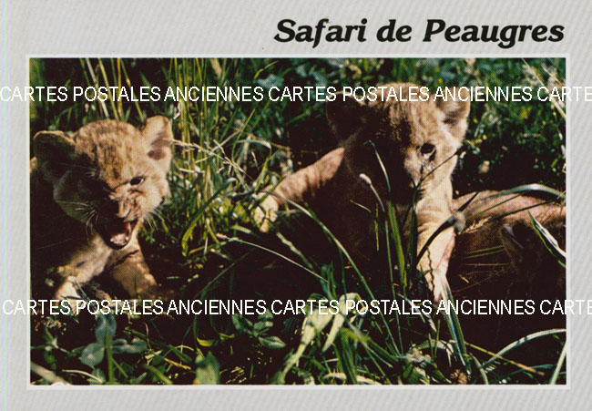Cartes postales anciennes > CARTES POSTALES > carte postale ancienne > cartes-postales-ancienne.com Animaux