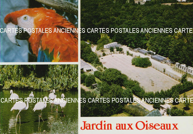 Cartes postales anciennes > CARTES POSTALES > carte postale ancienne > cartes-postales-ancienne.com Animaux