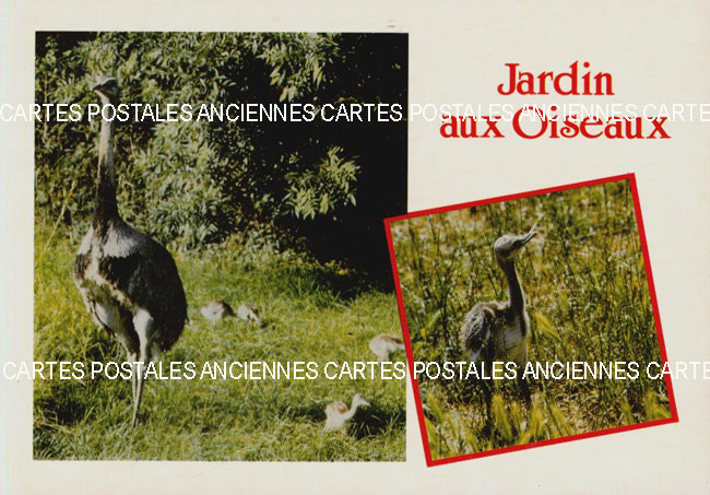 Cartes postales anciennes > CARTES POSTALES > carte postale ancienne > cartes-postales-ancienne.com Animaux