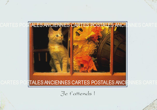 Cartes postales anciennes > CARTES POSTALES > carte postale ancienne > cartes-postales-ancienne.com Animaux