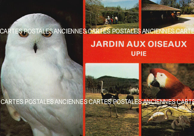 Cartes postales anciennes > CARTES POSTALES > carte postale ancienne > cartes-postales-ancienne.com Animaux