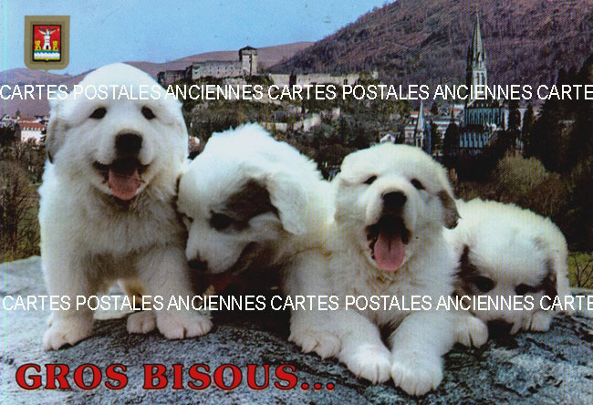 Cartes postales anciennes > CARTES POSTALES > carte postale ancienne > cartes-postales-ancienne.com Animaux