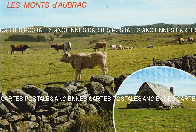 Cartes postales anciennes > CARTES POSTALES > carte postale ancienne > cartes-postales-ancienne.com Animaux