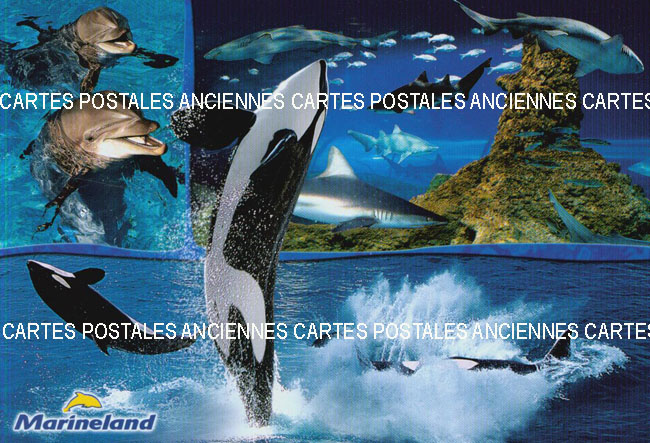 Cartes postales anciennes > CARTES POSTALES > carte postale ancienne > cartes-postales-ancienne.com Animaux