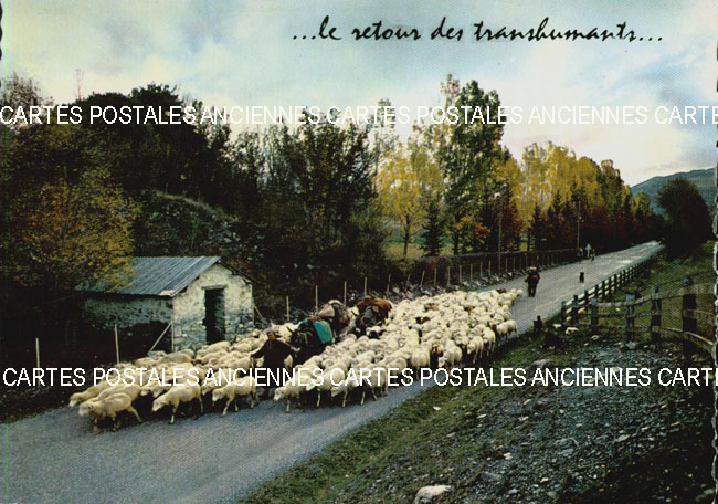 Cartes postales anciennes > CARTES POSTALES > carte postale ancienne > cartes-postales-ancienne.com Animaux
