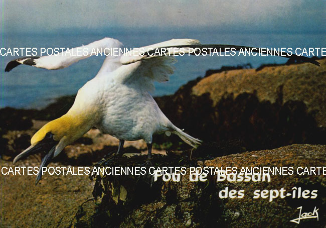 Cartes postales anciennes > CARTES POSTALES > carte postale ancienne > cartes-postales-ancienne.com Animaux