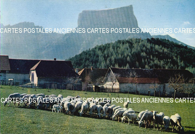 Cartes postales anciennes > CARTES POSTALES > carte postale ancienne > cartes-postales-ancienne.com Animaux
