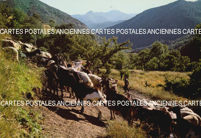 Cartes postales anciennes > CARTES POSTALES > carte postale ancienne > cartes-postales-ancienne.com Animaux