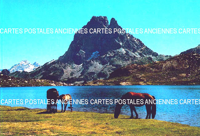 Cartes postales anciennes > CARTES POSTALES > carte postale ancienne > cartes-postales-ancienne.com Animaux