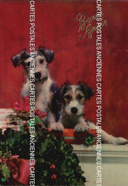 Cartes postales anciennes > CARTES POSTALES > carte postale ancienne > cartes-postales-ancienne.com Animaux