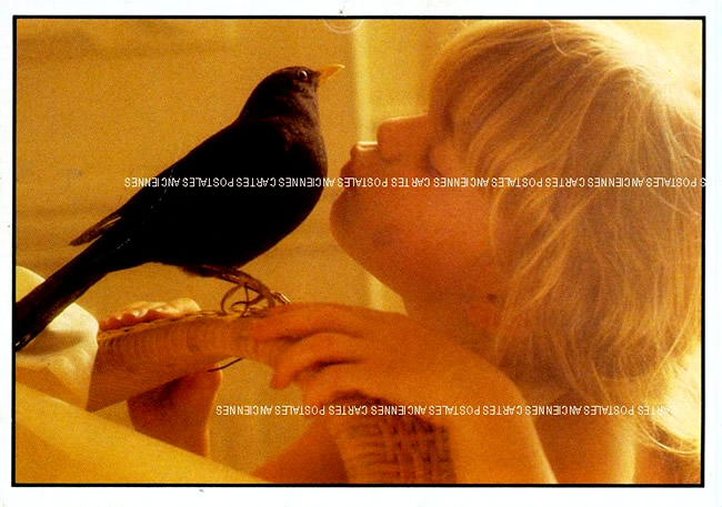 Cartes postales anciennes > CARTES POSTALES > carte postale ancienne > cartes-postales-ancienne.com Animaux