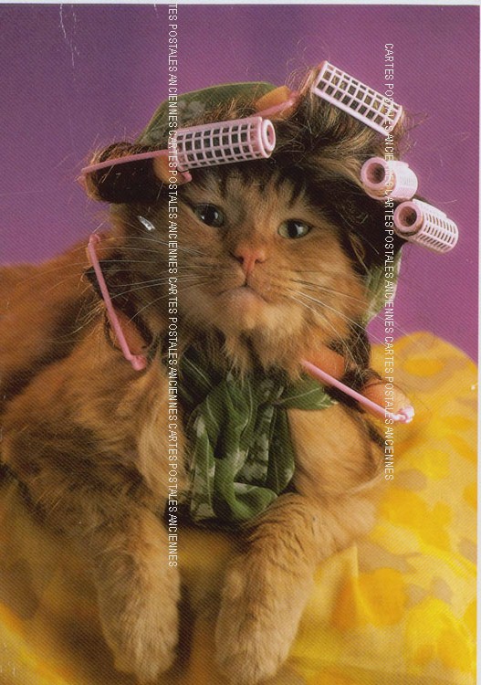 Cartes postales anciennes > CARTES POSTALES > carte postale ancienne > cartes-postales-ancienne.com Animaux
