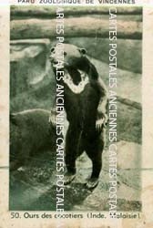 Cartes postales anciennes > CARTES POSTALES > carte postale ancienne > cartes-postales-ancienne.com Animaux