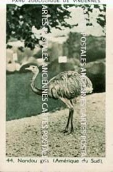 Cartes postales anciennes > CARTES POSTALES > carte postale ancienne > cartes-postales-ancienne.com Animaux