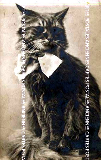 Cartes postales anciennes > CARTES POSTALES > carte postale ancienne > cartes-postales-ancienne.com Animaux