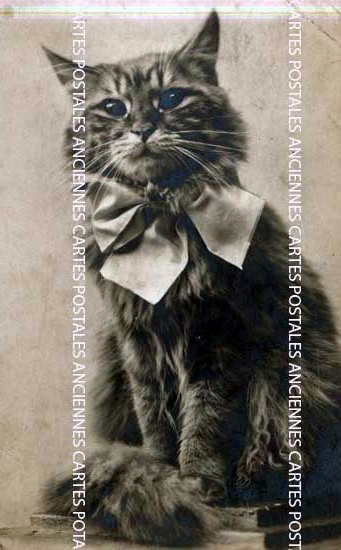 Cartes postales anciennes > CARTES POSTALES > carte postale ancienne > cartes-postales-ancienne.com Animaux