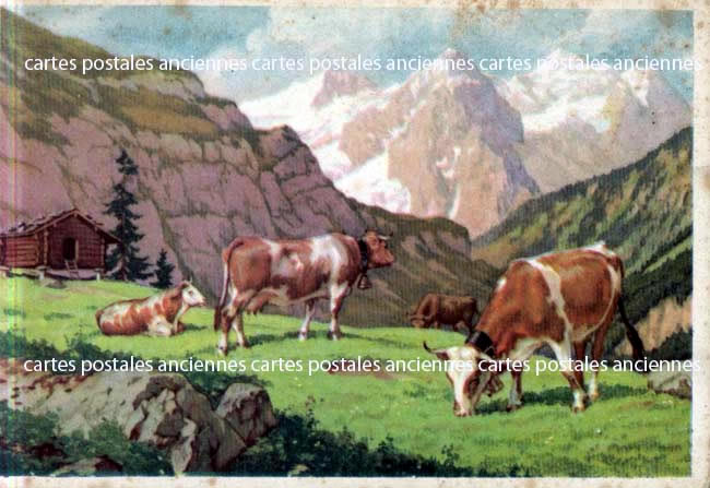 Cartes postales anciennes > CARTES POSTALES > carte postale ancienne > cartes-postales-ancienne.com Animaux
