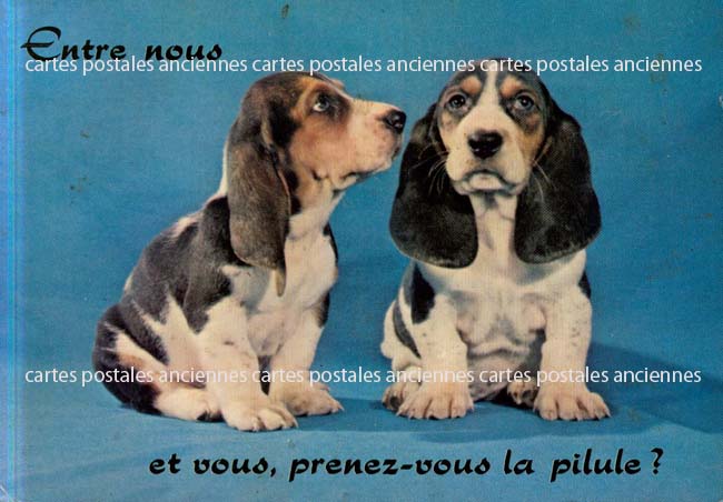 Cartes postales anciennes > CARTES POSTALES > carte postale ancienne > cartes-postales-ancienne.com Animaux