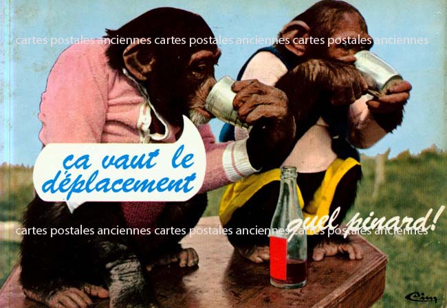 Cartes postales anciennes > CARTES POSTALES > carte postale ancienne > cartes-postales-ancienne.com Animaux