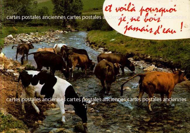 Cartes postales anciennes > CARTES POSTALES > carte postale ancienne > cartes-postales-ancienne.com Animaux