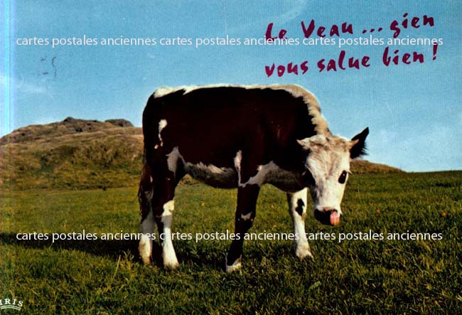Cartes postales anciennes > CARTES POSTALES > carte postale ancienne > cartes-postales-ancienne.com Animaux