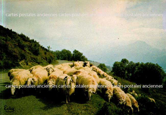 Cartes postales anciennes > CARTES POSTALES > carte postale ancienne > cartes-postales-ancienne.com Animaux