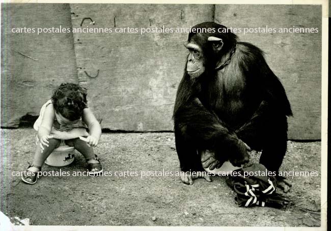 Cartes postales anciennes > CARTES POSTALES > carte postale ancienne > cartes-postales-ancienne.com Animaux