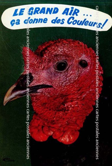 Cartes postales anciennes > CARTES POSTALES > carte postale ancienne > cartes-postales-ancienne.com Animaux