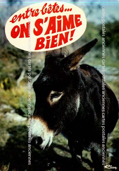 Cartes postales anciennes > CARTES POSTALES > carte postale ancienne > cartes-postales-ancienne.com Animaux