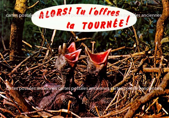 Cartes postales anciennes > CARTES POSTALES > carte postale ancienne > cartes-postales-ancienne.com Animaux