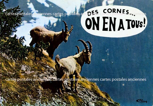 Cartes postales anciennes > CARTES POSTALES > carte postale ancienne > cartes-postales-ancienne.com Animaux