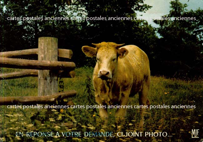 Cartes postales anciennes > CARTES POSTALES > carte postale ancienne > cartes-postales-ancienne.com Animaux