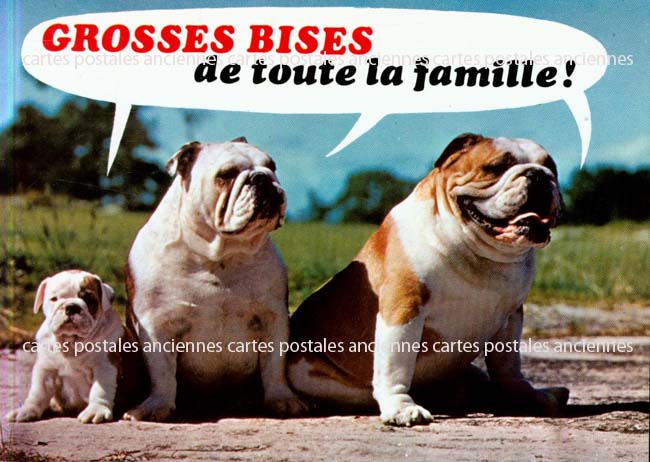 Cartes postales anciennes > CARTES POSTALES > carte postale ancienne > cartes-postales-ancienne.com Animaux