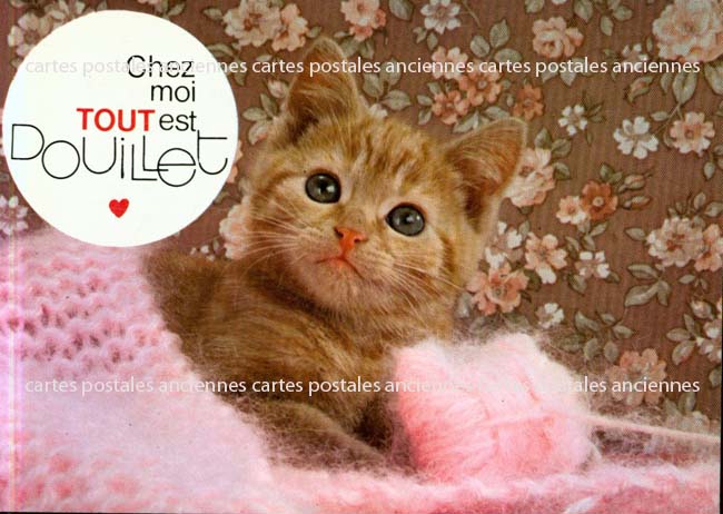 Cartes postales anciennes > CARTES POSTALES > carte postale ancienne > cartes-postales-ancienne.com Animaux