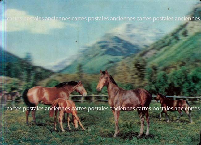 Cartes postales anciennes > CARTES POSTALES > carte postale ancienne > cartes-postales-ancienne.com Animaux