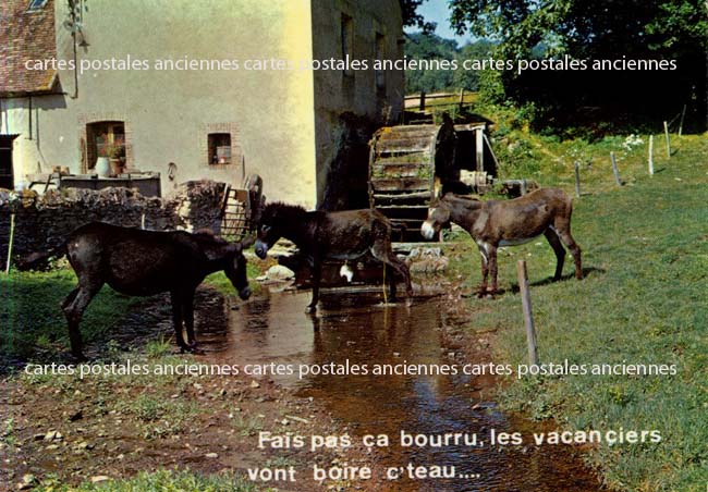 Cartes postales anciennes > CARTES POSTALES > carte postale ancienne > cartes-postales-ancienne.com Animaux