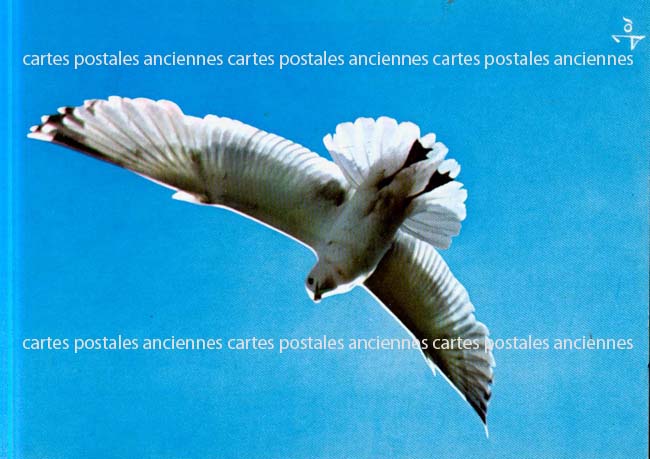 Cartes postales anciennes > CARTES POSTALES > carte postale ancienne > cartes-postales-ancienne.com Animaux