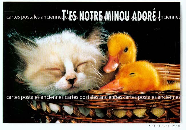 Cartes postales anciennes > CARTES POSTALES > carte postale ancienne > cartes-postales-ancienne.com Animaux