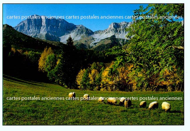 Cartes postales anciennes > CARTES POSTALES > carte postale ancienne > cartes-postales-ancienne.com Animaux