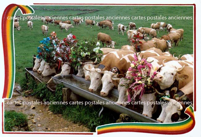 Cartes postales anciennes > CARTES POSTALES > carte postale ancienne > cartes-postales-ancienne.com Animaux