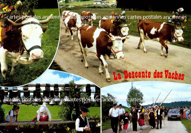 Cartes postales anciennes > CARTES POSTALES > carte postale ancienne > cartes-postales-ancienne.com Animaux