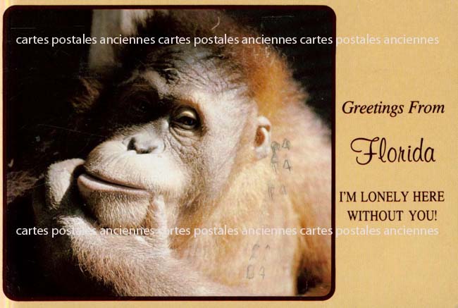 Cartes postales anciennes > CARTES POSTALES > carte postale ancienne > cartes-postales-ancienne.com Animaux