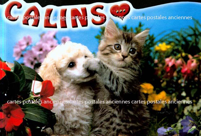 Cartes postales anciennes > CARTES POSTALES > carte postale ancienne > cartes-postales-ancienne.com Animaux